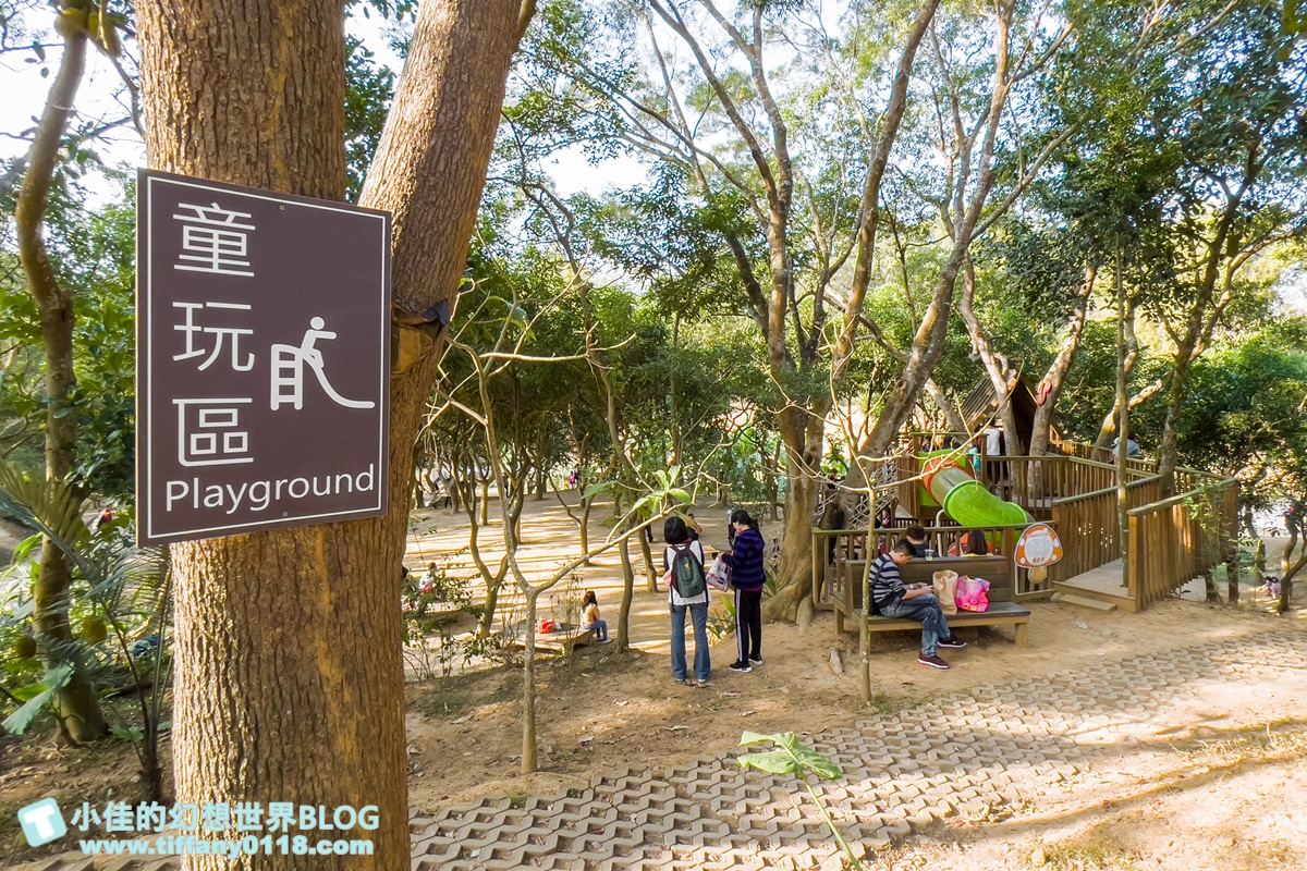 [嘉義景點]金桔觀光工廠(免門票)/樹屋溜滑梯攀爬網+時光隧道+金桔DIY+大草原野餐/嘉義親子景點推薦