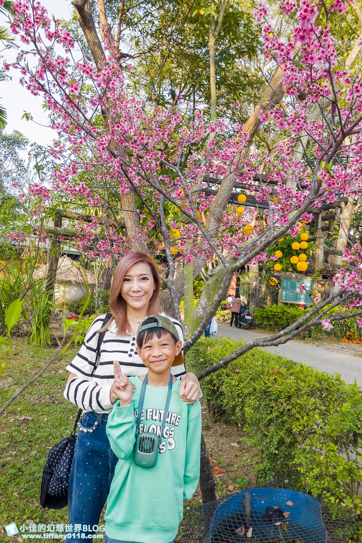 [嘉義景點]金桔觀光工廠(免門票)/樹屋溜滑梯攀爬網+時光隧道+金桔DIY+大草原野餐/嘉義親子景點推薦