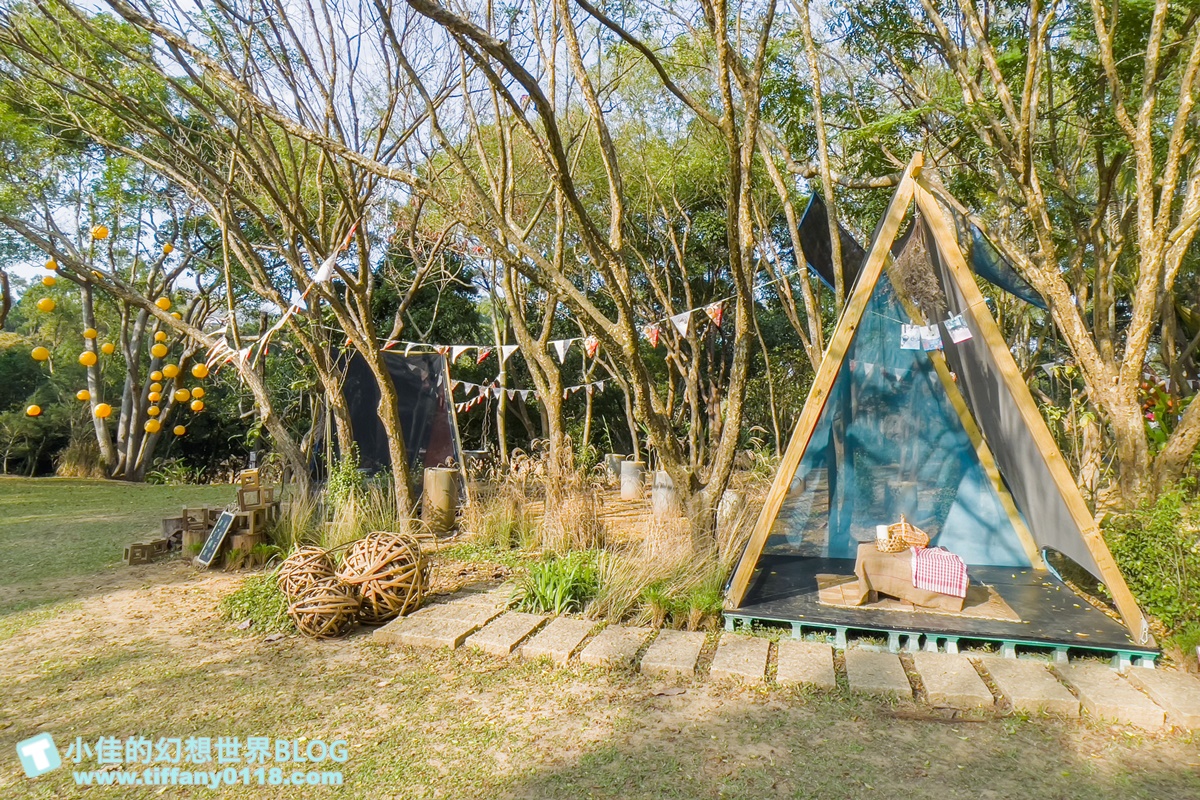 [嘉義景點]金桔觀光工廠(免門票)/樹屋溜滑梯攀爬網+時光隧道+金桔DIY+大草原野餐/嘉義親子景點推薦