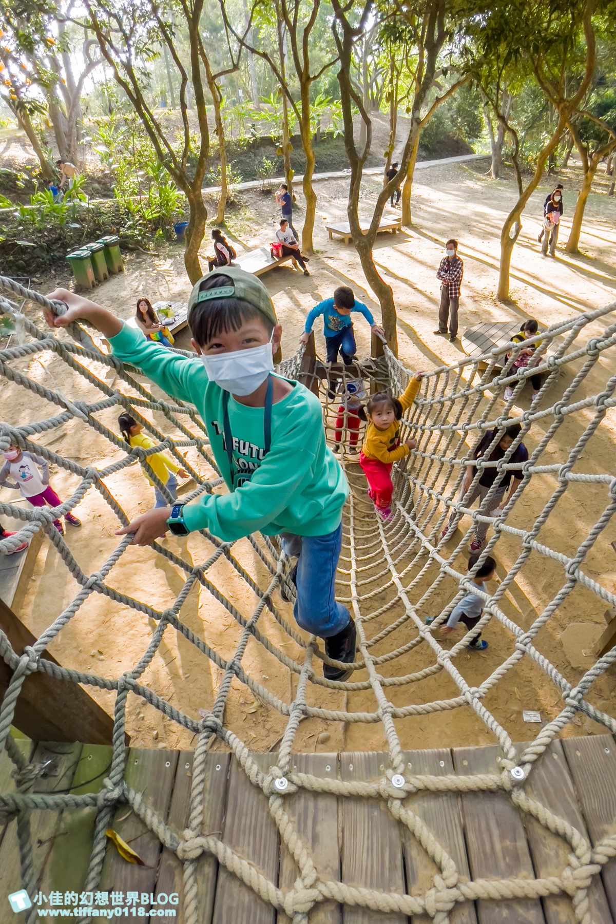 [嘉義景點]金桔觀光工廠(免門票)/樹屋溜滑梯攀爬網+時光隧道+金桔DIY+大草原野餐/嘉義親子景點推薦
