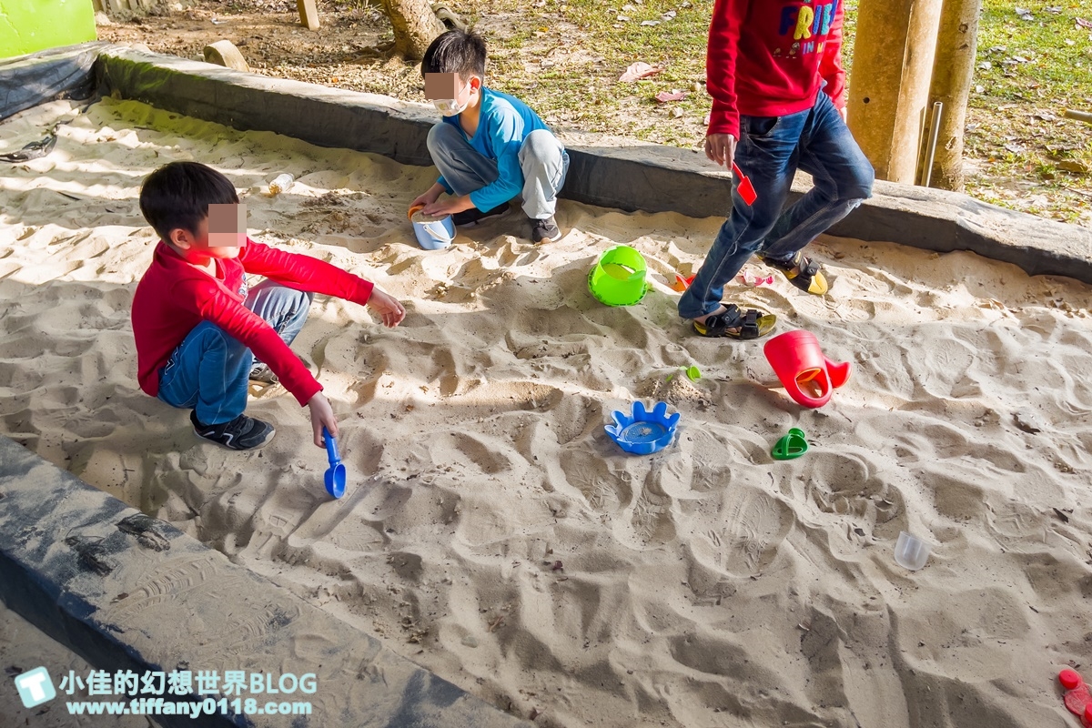 [嘉義景點]金桔觀光工廠(免門票)/樹屋溜滑梯攀爬網+時光隧道+金桔DIY+大草原野餐/嘉義親子景點推薦