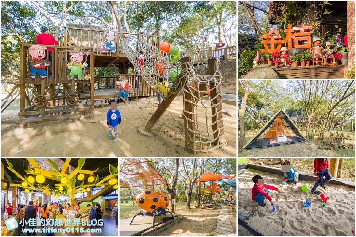 [嘉義景點]金桔觀光工廠(免門票)/樹屋溜滑梯攀爬網+時光隧道+金桔DIY+大草原野餐/嘉義親子景點推薦