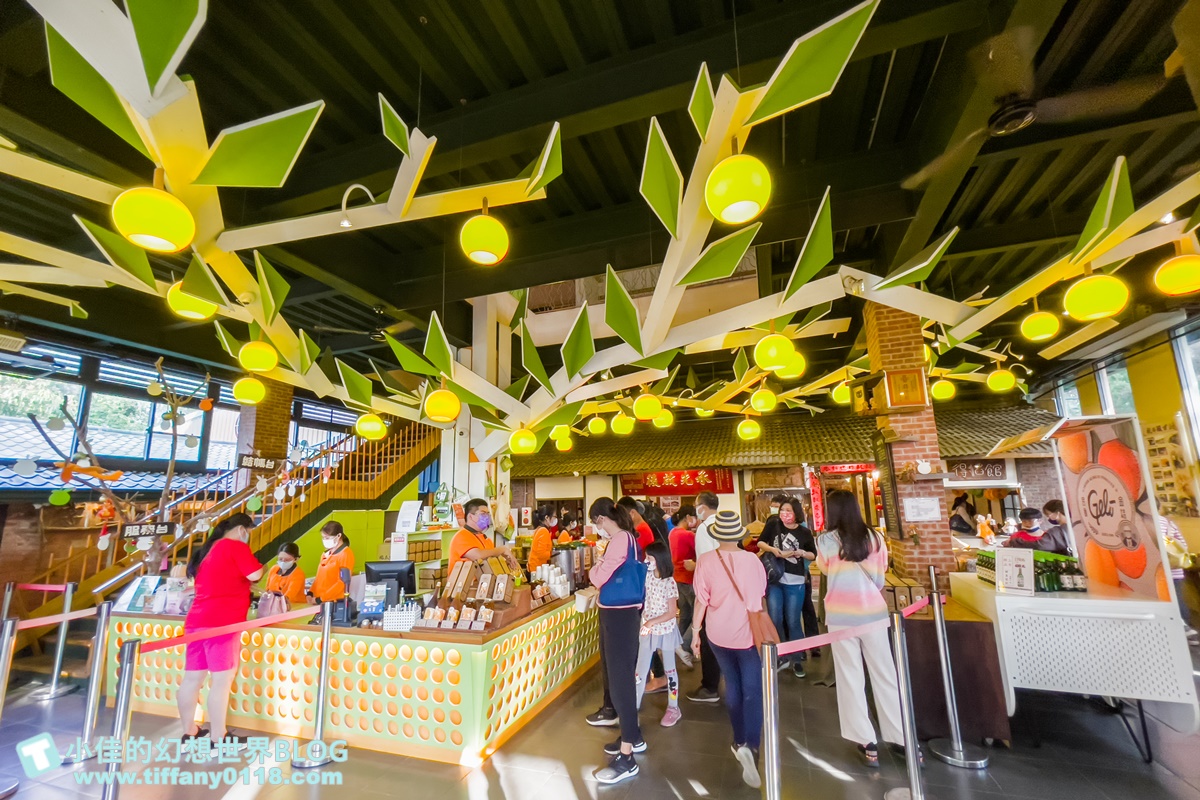 [嘉義景點]金桔觀光工廠(免門票)/樹屋溜滑梯攀爬網+時光隧道+金桔DIY+大草原野餐/嘉義親子景點推薦