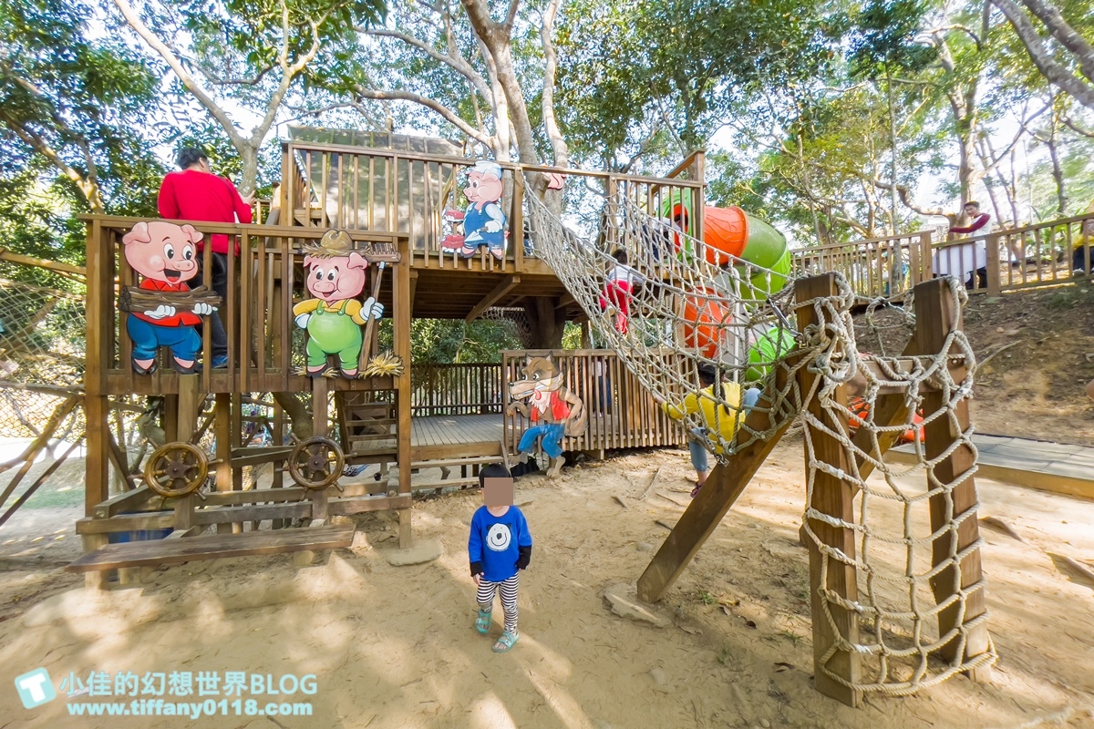 [嘉義景點]金桔觀光工廠(免門票)/樹屋溜滑梯攀爬網+時光隧道+金桔DIY+大草原野餐/嘉義親子景點推薦