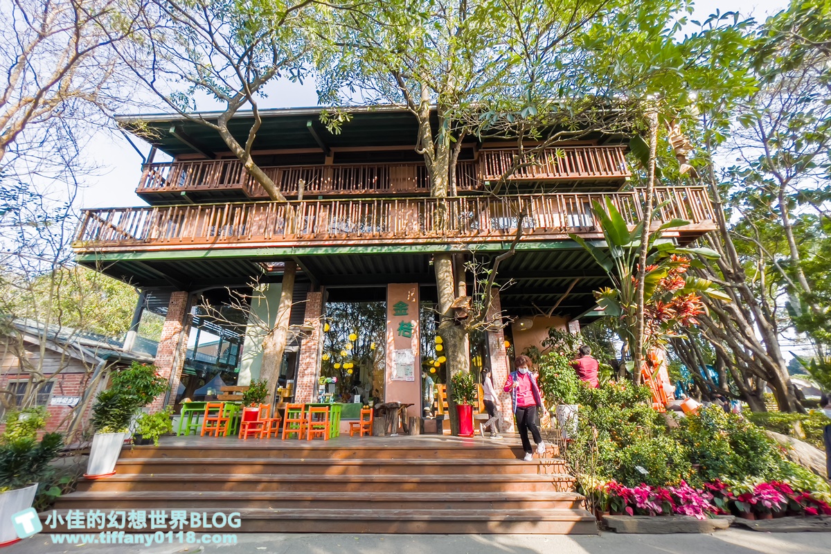 [嘉義景點]金桔觀光工廠(免門票)/樹屋溜滑梯攀爬網+時光隧道+金桔DIY+大草原野餐/嘉義親子景點推薦