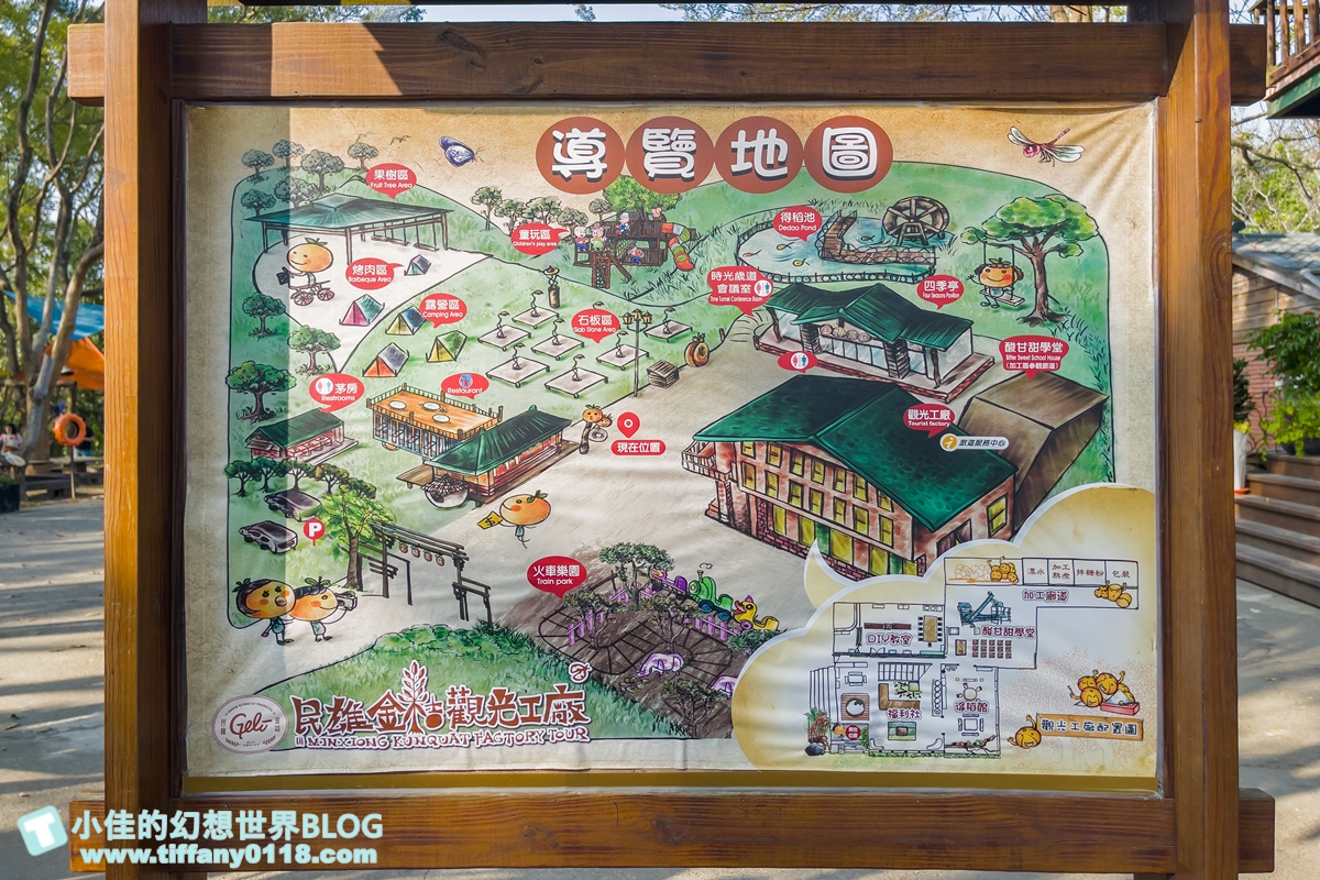 [嘉義景點]金桔觀光工廠(免門票)/樹屋溜滑梯攀爬網+時光隧道+金桔DIY+大草原野餐/嘉義親子景點推薦