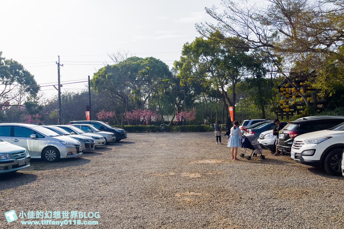 [嘉義景點]金桔觀光工廠(免門票)/樹屋溜滑梯攀爬網+時光隧道+金桔DIY+大草原野餐/嘉義親子景點推薦