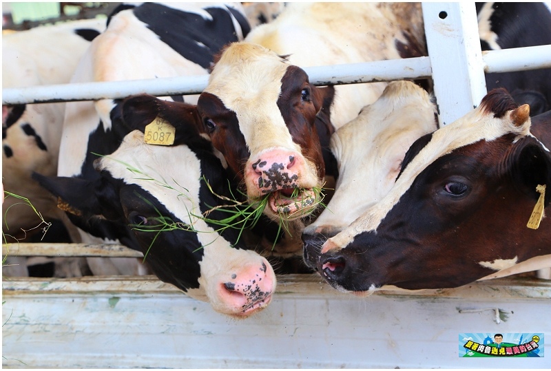 nEO_IMG_19.jpg nEO_IMG_19.jpg