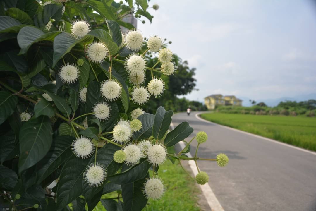 [宜蘭旅遊]冬山河休閒農業區兩天一夜這樣玩/餵鴨做鹹蛋DIY、搭鴨母船遊河、水火同源超大溜滑梯、52甲私房秘境