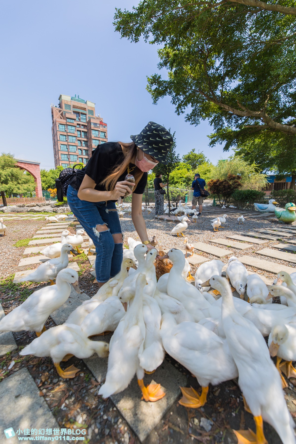 [宜蘭旅遊]冬山河休閒農業區兩天一夜這樣玩/餵鴨做鹹蛋DIY、搭鴨母船遊河、水火同源超大溜滑梯、52甲私房秘境