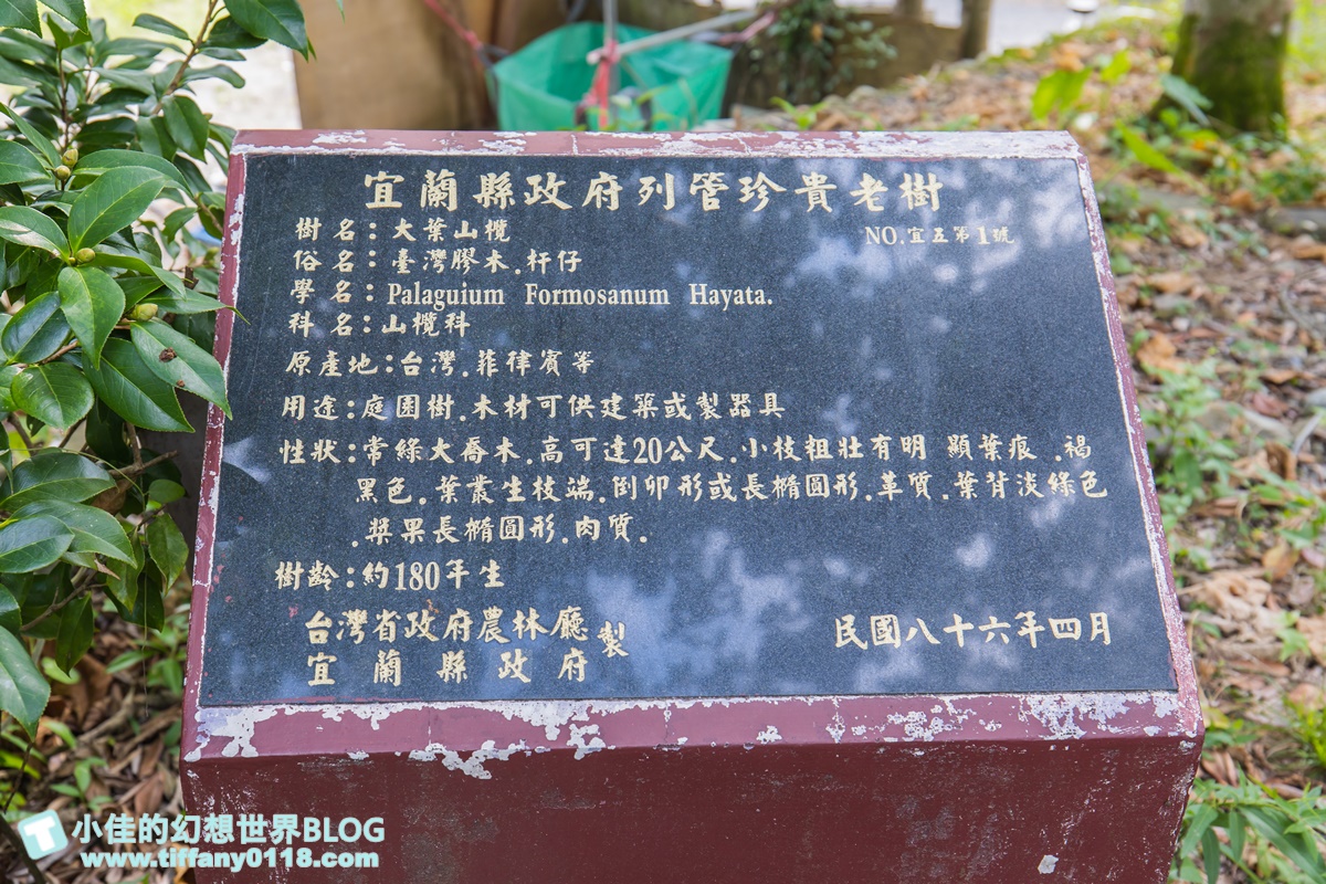 [宜蘭旅遊]冬山河休閒農業區兩天一夜這樣玩/餵鴨做鹹蛋DIY、搭鴨母船遊河、水火同源超大溜滑梯、52甲私房秘境