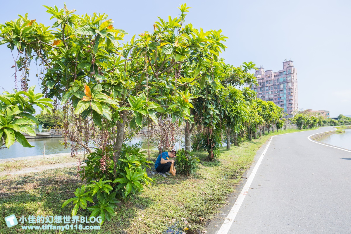 [宜蘭旅遊]冬山河休閒農業區兩天一夜這樣玩/餵鴨做鹹蛋DIY、搭鴨母船遊河、水火同源超大溜滑梯、52甲私房秘境