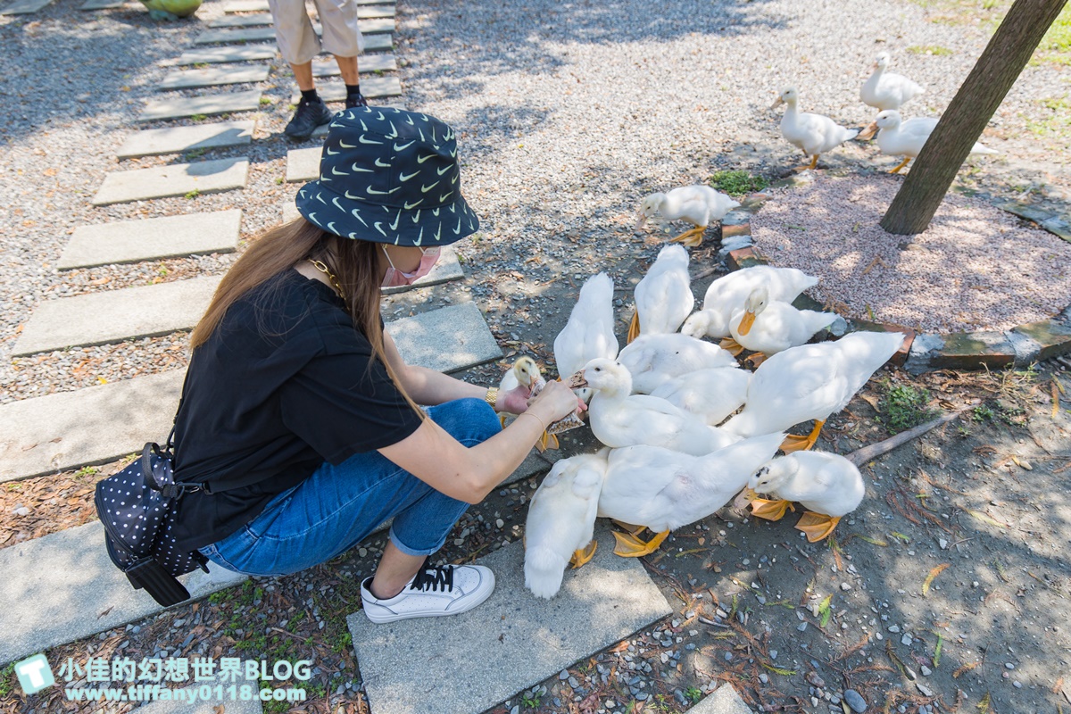 [宜蘭旅遊]冬山河休閒農業區兩天一夜這樣玩/餵鴨做鹹蛋DIY、搭鴨母船遊河、水火同源超大溜滑梯、52甲私房秘境
