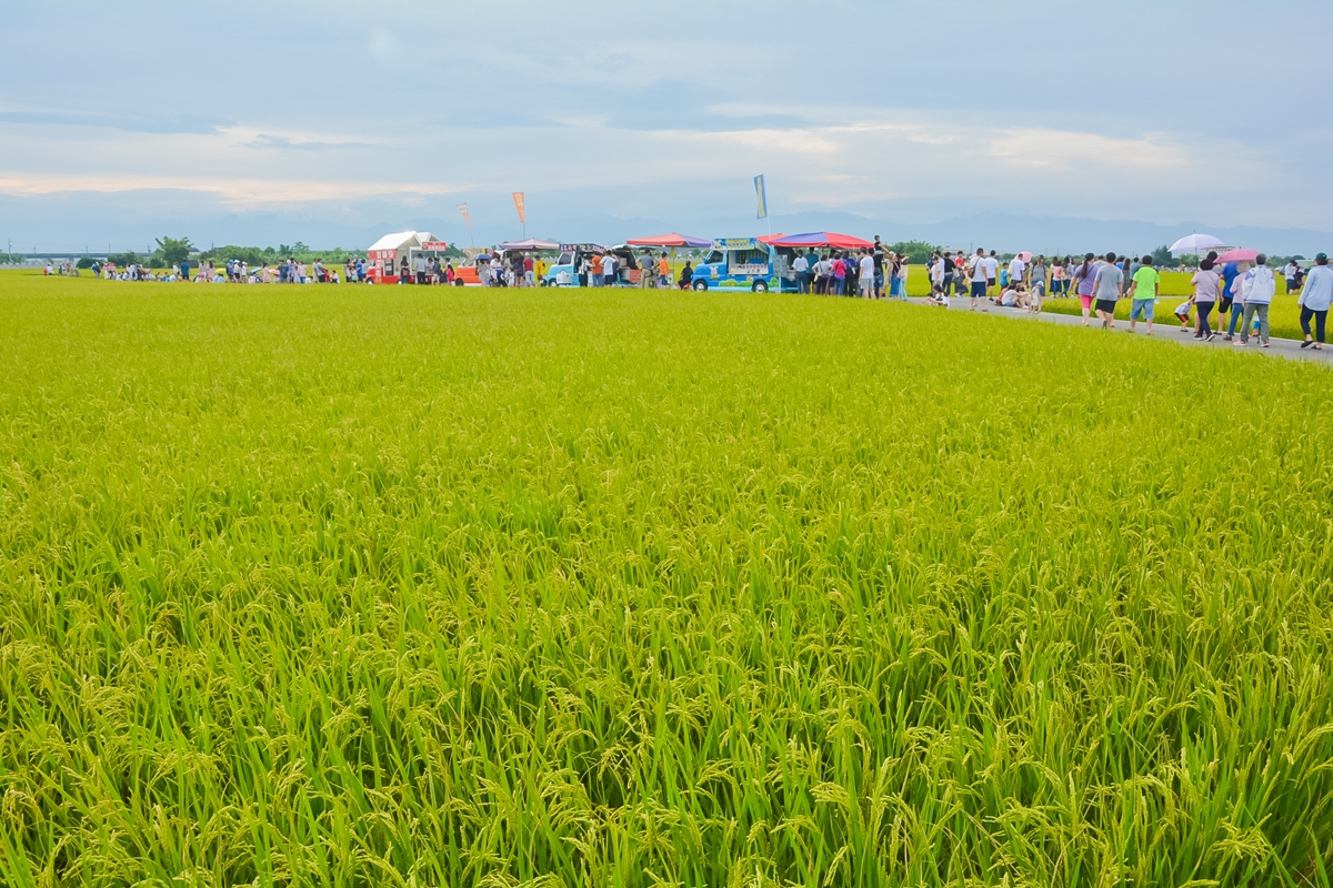 [宜蘭旅遊]冬山河休閒農業區兩天一夜這樣玩/餵鴨做鹹蛋DIY、搭鴨母船遊河、水火同源超大溜滑梯、52甲私房秘境