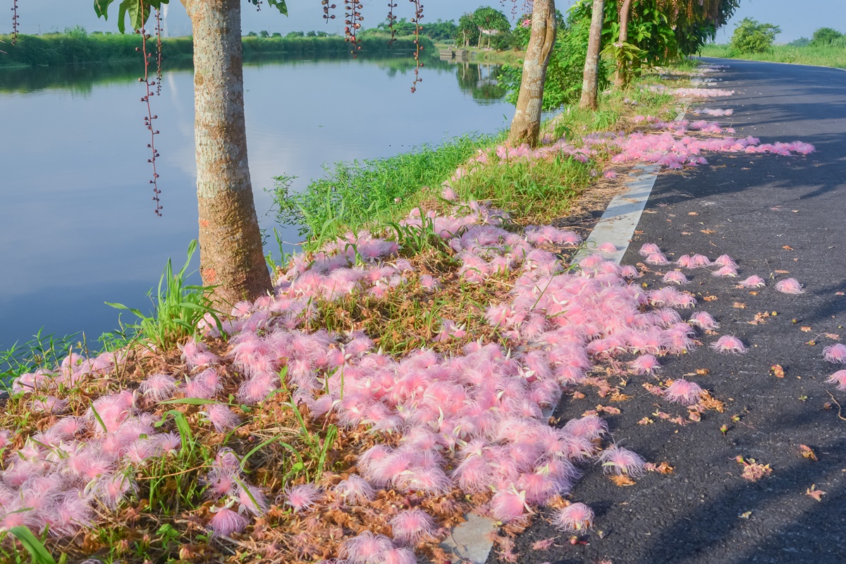 [宜蘭旅遊]冬山河休閒農業區兩天一夜這樣玩/餵鴨做鹹蛋DIY、搭鴨母船遊河、水火同源超大溜滑梯、52甲私房秘境