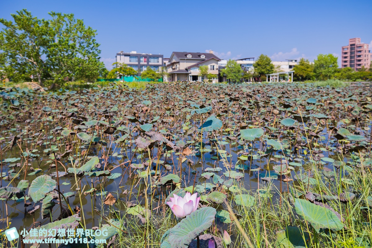 [宜蘭旅遊]冬山河休閒農業區兩天一夜這樣玩/餵鴨做鹹蛋DIY、搭鴨母船遊河、水火同源超大溜滑梯、52甲私房秘境