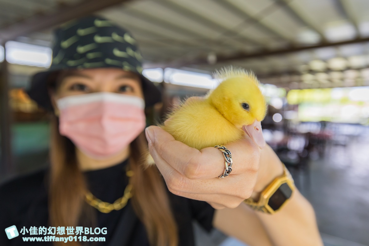 [宜蘭旅遊]冬山河休閒農業區兩天一夜這樣玩/餵鴨做鹹蛋DIY、搭鴨母船遊河、水火同源超大溜滑梯、52甲私房秘境