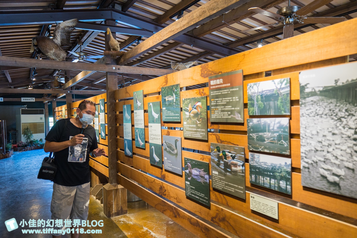 [宜蘭旅遊]冬山河休閒農業區兩天一夜這樣玩/餵鴨做鹹蛋DIY、搭鴨母船遊河、水火同源超大溜滑梯、52甲私房秘境