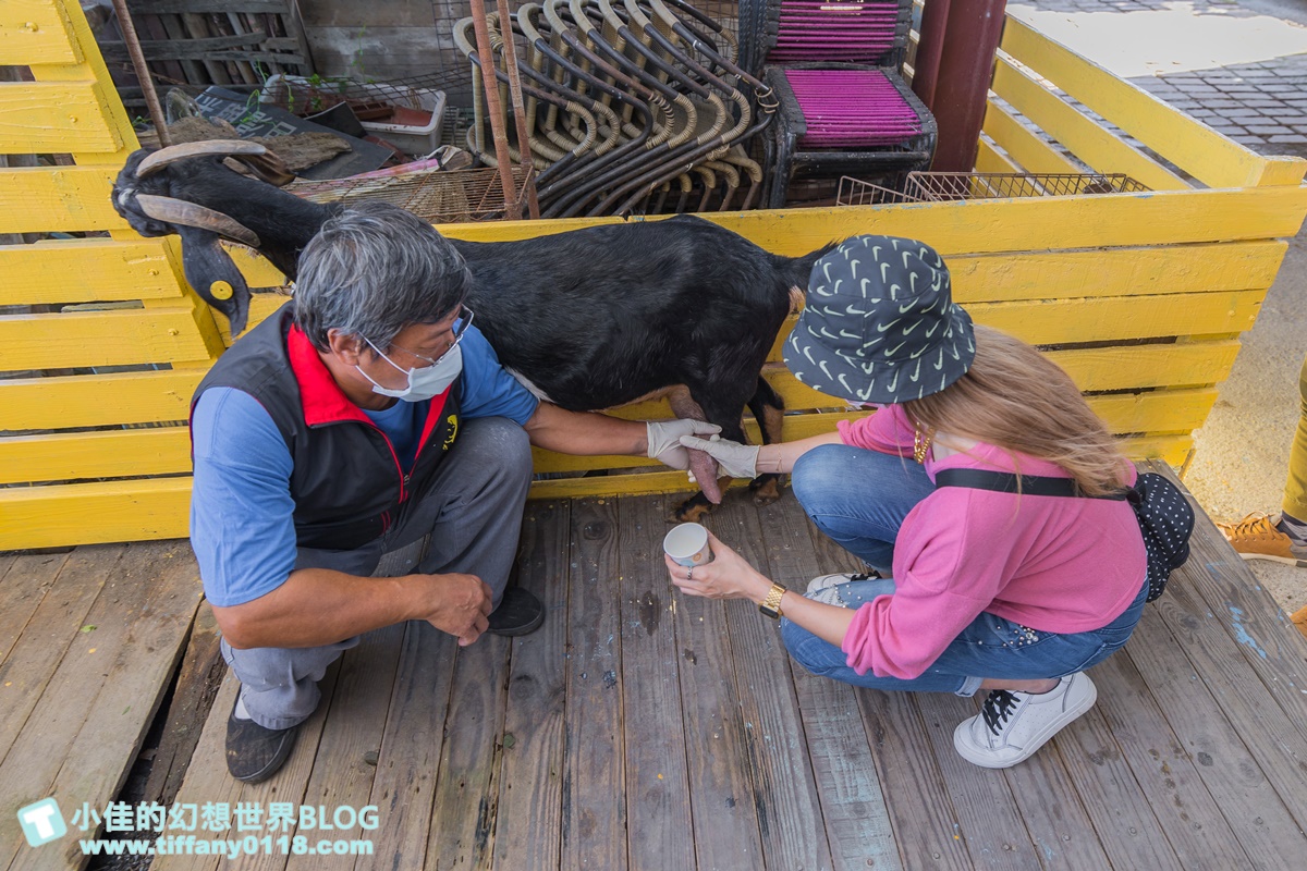 [宜蘭景點]可達休閒羊場(免門票)/超多可愛動物可餵食，還能體驗擠羊奶/宜蘭親子景點推薦