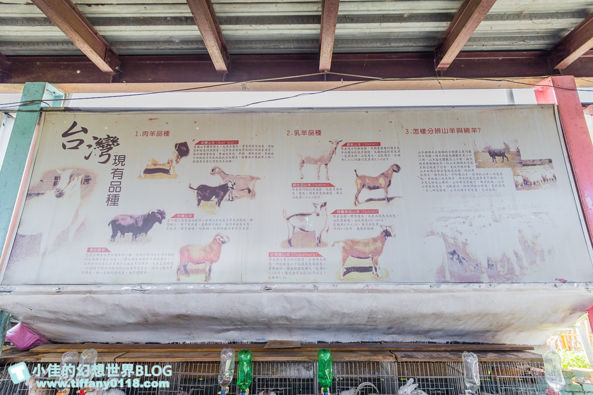 [宜蘭景點]可達休閒羊場(免門票)/超多可愛動物可餵食，還能體驗擠羊奶/宜蘭親子景點推薦