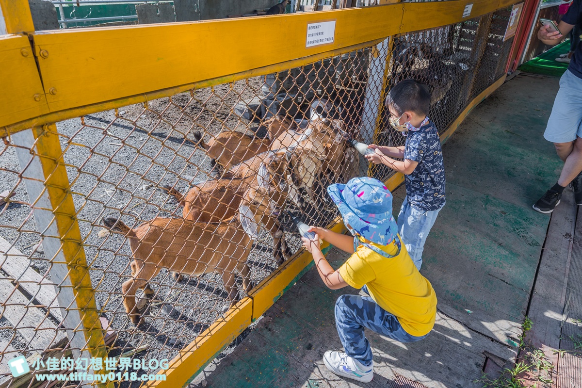 [宜蘭景點]可達休閒羊場(免門票)/超多可愛動物可餵食，還能體驗擠羊奶/宜蘭親子景點推薦