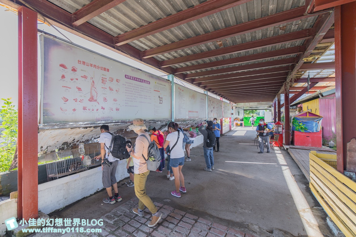 [宜蘭景點]可達休閒羊場(免門票)/超多可愛動物可餵食，還能體驗擠羊奶/宜蘭親子景點推薦