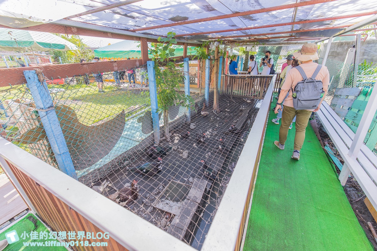 [宜蘭景點]可達休閒羊場(免門票)/超多可愛動物可餵食，還能體驗擠羊奶/宜蘭親子景點推薦