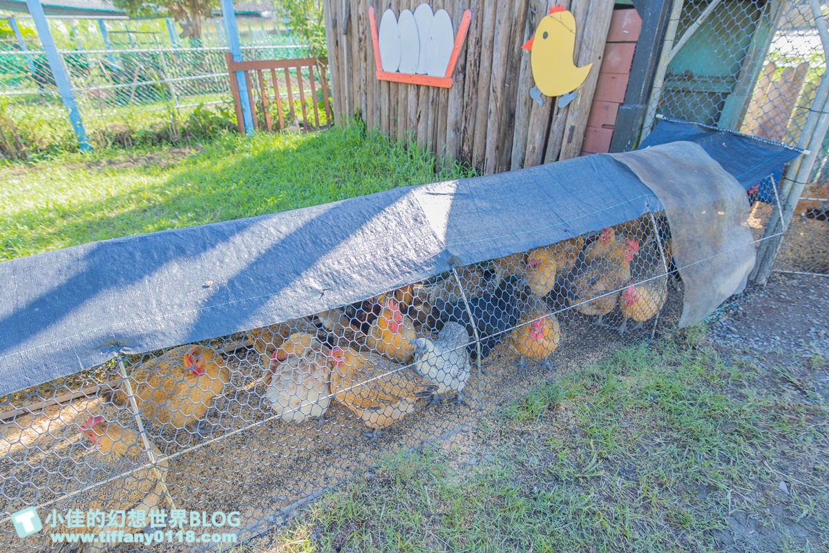 [宜蘭景點]可達休閒羊場(免門票)/超多可愛動物可餵食，還能體驗擠羊奶/宜蘭親子景點推薦