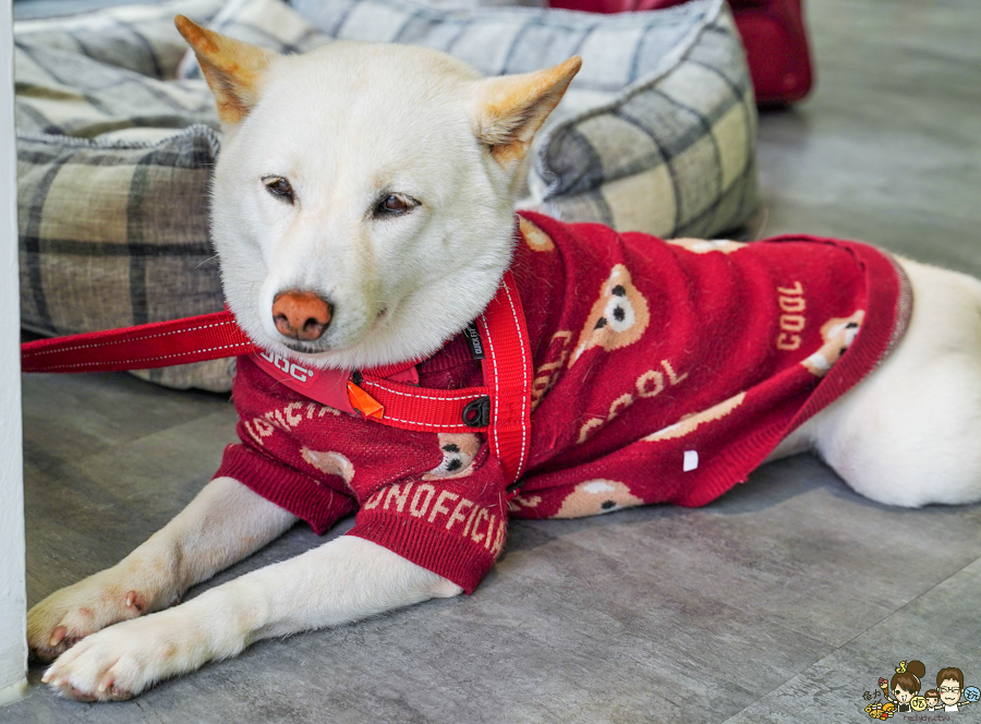 恆春老店 老字號 墾丁 南國之境 必喝 綠豆沙 飲品 恆春在地 老店 純樸 好喝 必追 網美飲料