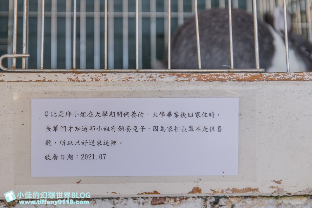 [宜蘭景點]可達休閒羊場(免門票)/超多可愛動物可餵食，還能體驗擠羊奶/宜蘭親子景點推薦