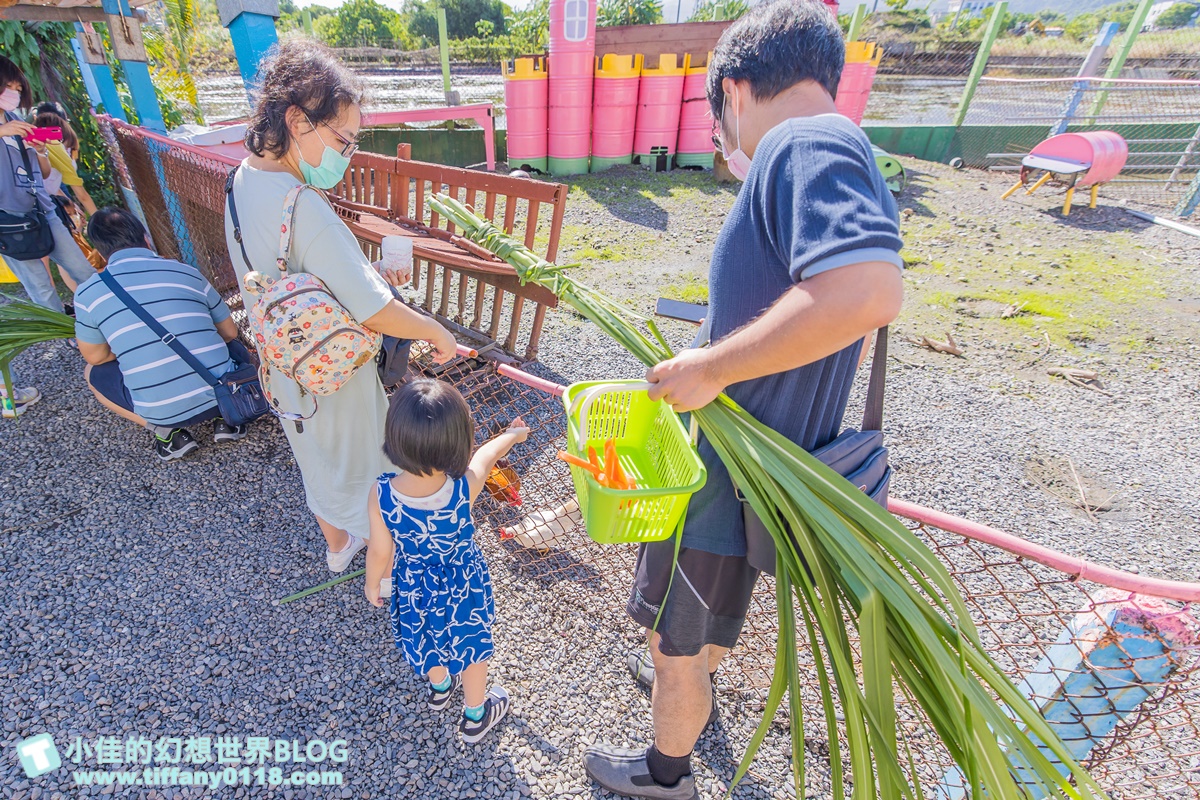 [宜蘭景點]可達休閒羊場(免門票)/超多可愛動物可餵食，還能體驗擠羊奶/宜蘭親子景點推薦