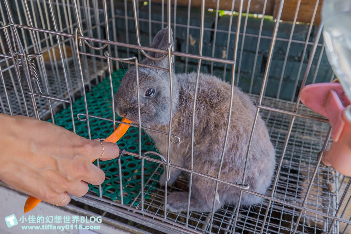 [宜蘭景點]可達休閒羊場(免門票)/超多可愛動物可餵食，還能體驗擠羊奶/宜蘭親子景點推薦