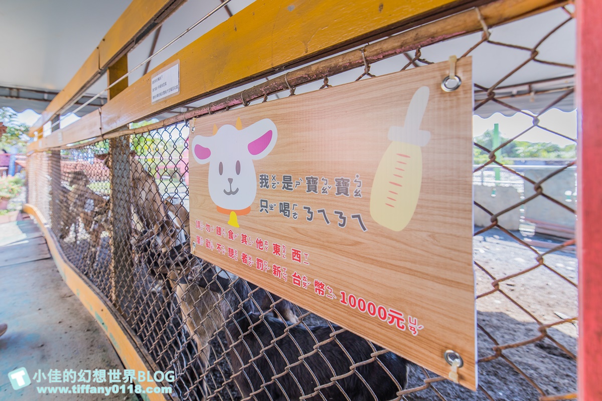 [宜蘭景點]可達休閒羊場(免門票)/超多可愛動物可餵食，還能體驗擠羊奶/宜蘭親子景點推薦