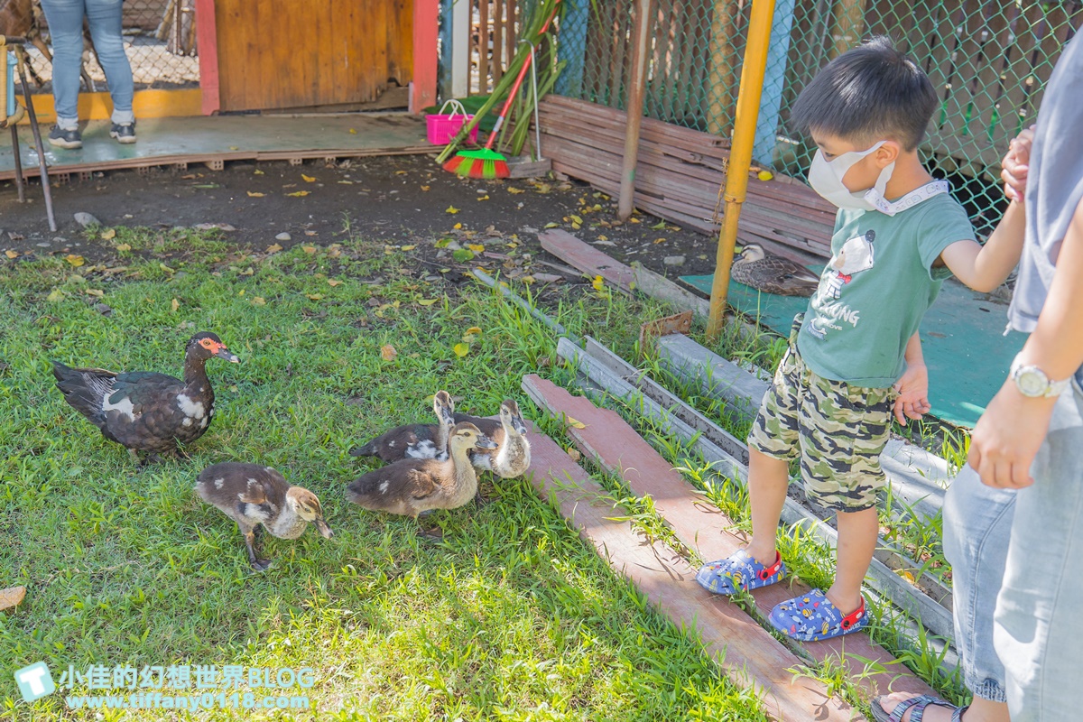 [宜蘭景點]可達休閒羊場(免門票)/超多可愛動物可餵食，還能體驗擠羊奶/宜蘭親子景點推薦