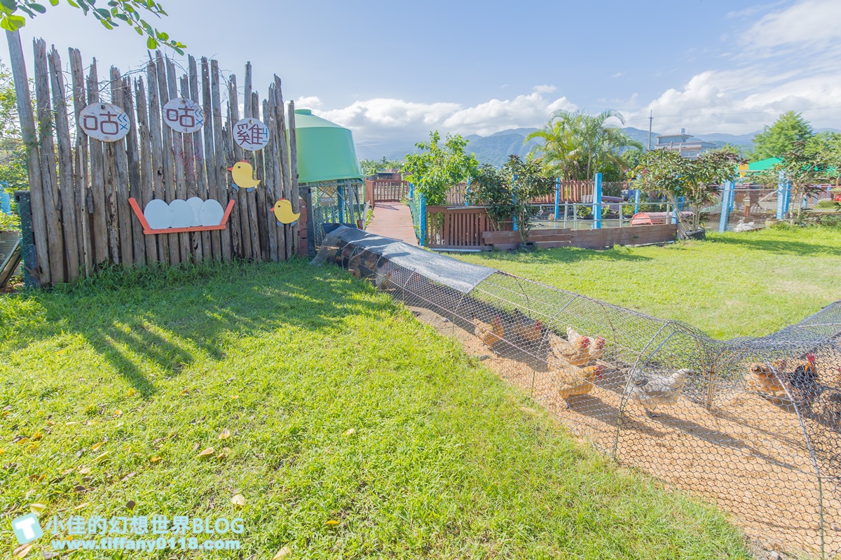 [宜蘭景點]可達休閒羊場(免門票)/超多可愛動物可餵食，還能體驗擠羊奶/宜蘭親子景點推薦