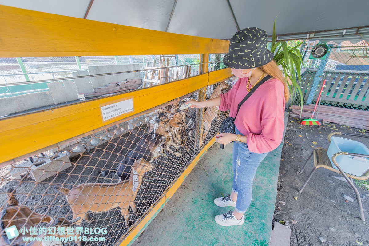 [宜蘭景點]可達休閒羊場(免門票)/超多可愛動物可餵食，還能體驗擠羊奶/宜蘭親子景點推薦