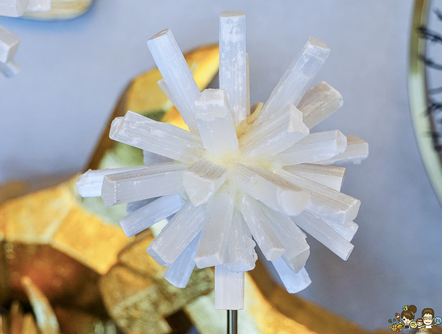 高雄燈飾 奢華 時尚 設計 獨家 必逛 好逛 售後服務 品質 清潔