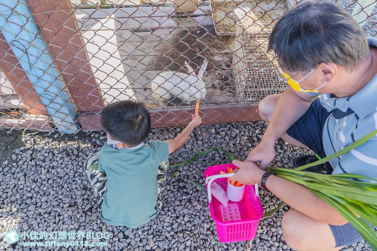 [宜蘭景點]可達休閒羊場(免門票)/超多可愛動物可餵食，還能體驗擠羊奶/宜蘭親子景點推薦