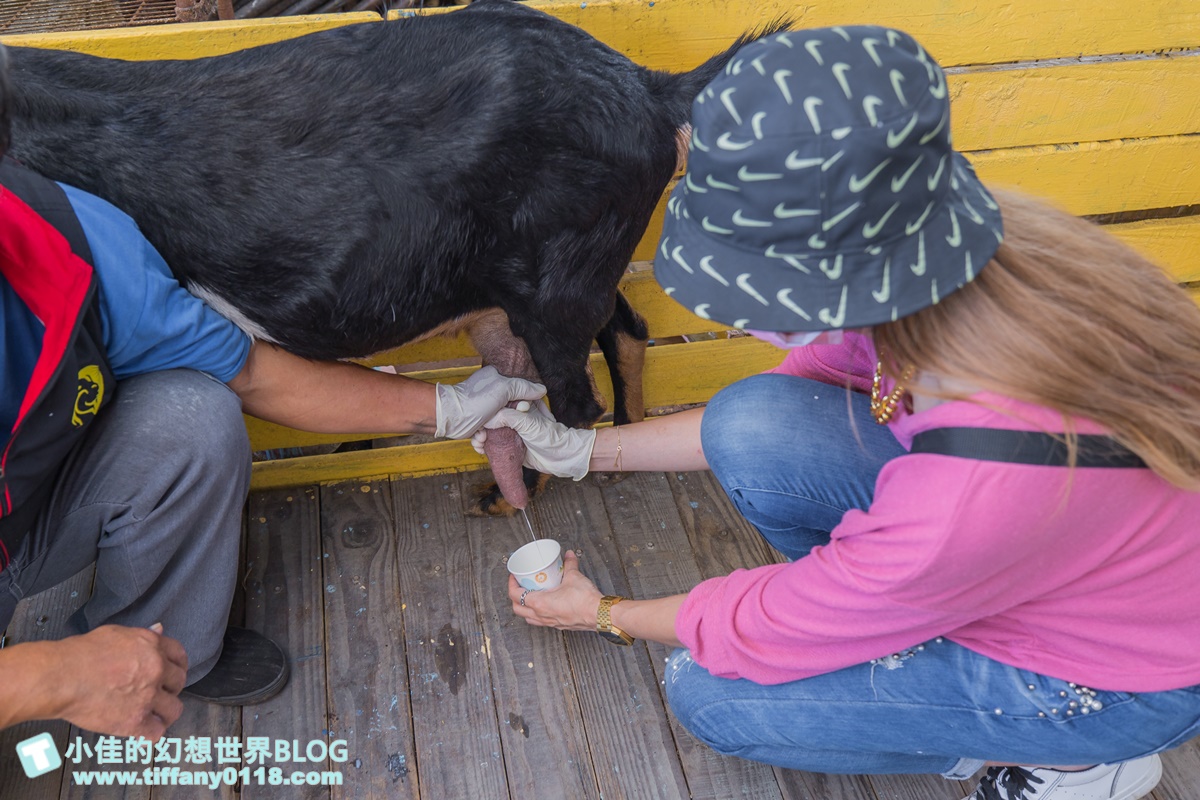 [宜蘭景點]可達休閒羊場(免門票)/超多可愛動物可餵食，還能體驗擠羊奶/宜蘭親子景點推薦