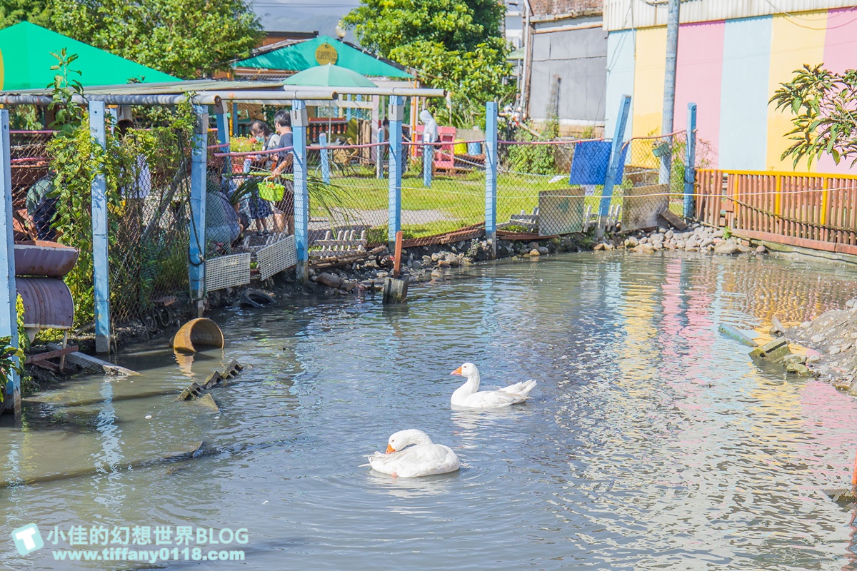[宜蘭景點]可達休閒羊場(免門票)/超多可愛動物可餵食，還能體驗擠羊奶/宜蘭親子景點推薦