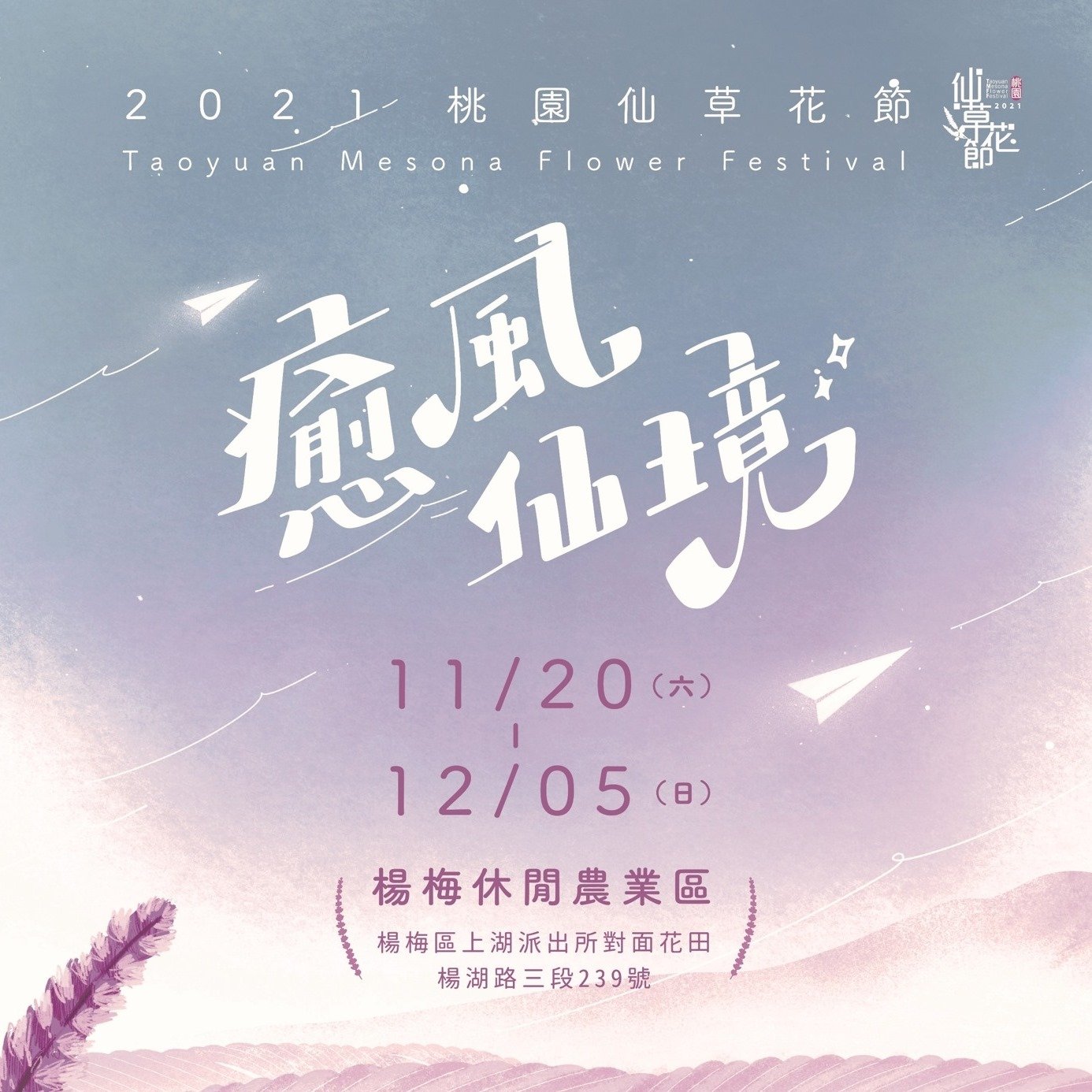 2021桃園仙草花節癒風仙境|桃園仙草花海紫色花海時間地點交通資訊整理