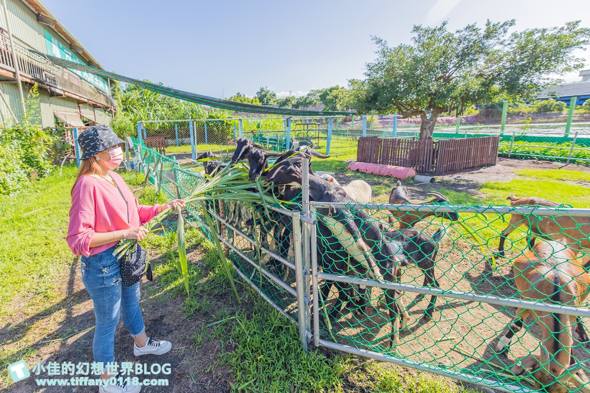 [宜蘭景點]可達休閒羊場(免門票)/超多可愛動物可餵食，還能體驗擠羊奶/宜蘭親子景點推薦
