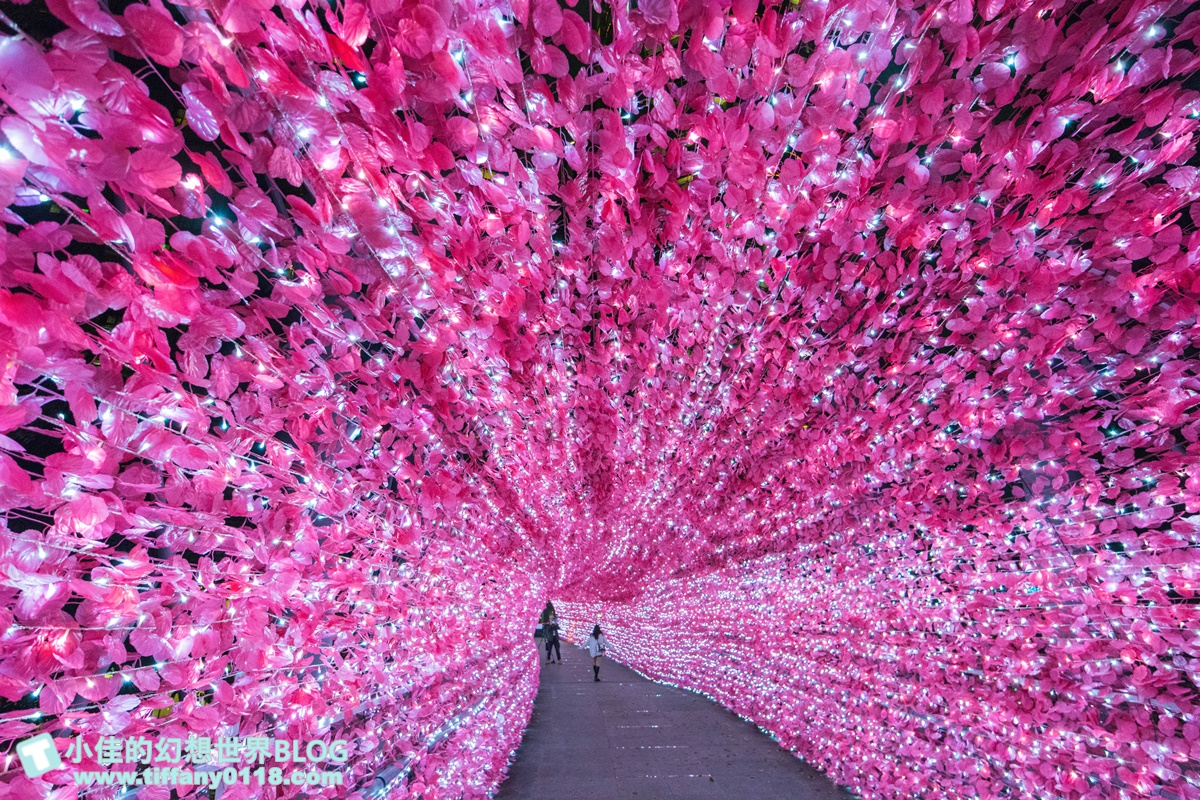 2021新北耶誕城xLEGO樂高/三大展區+七大絕美燈廊+樂高主題燈區總整理/教你怎麼玩怎麼去