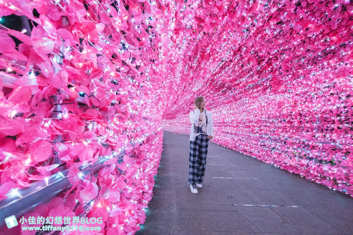 2021新北耶誕城xLEGO樂高/三大展區+七大絕美燈廊+樂高主題燈區總整理/教你怎麼玩怎麼去