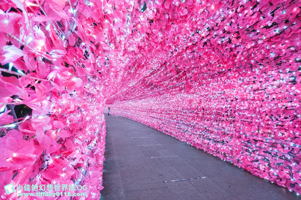 2021新北耶誕城xLEGO樂高/三大展區+七大絕美燈廊+樂高主題燈區總整理/教你怎麼玩怎麼去