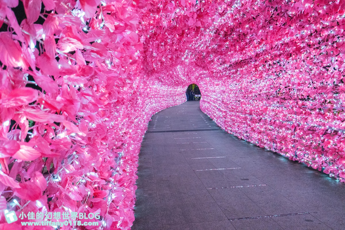 2021新北耶誕城xLEGO樂高/三大展區+七大絕美燈廊+樂高主題燈區總整理/教你怎麼玩怎麼去