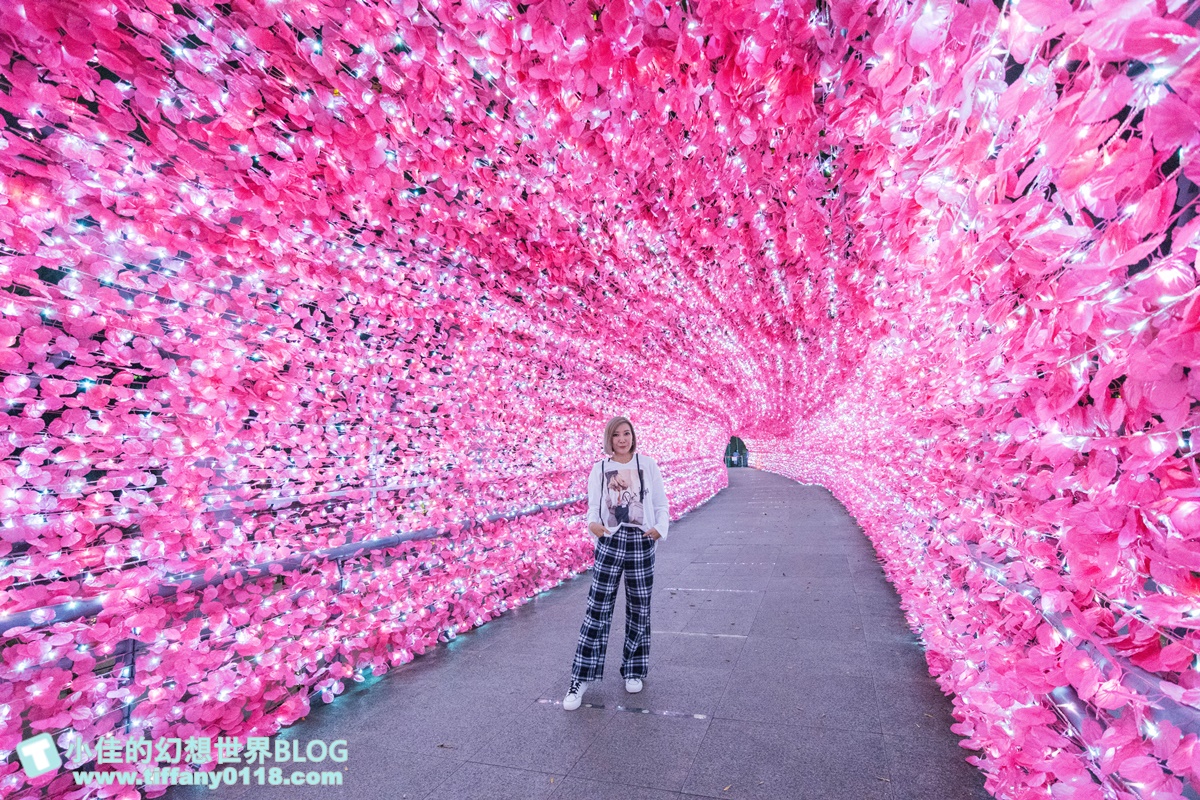 2021新北耶誕城xLEGO樂高/三大展區+七大絕美燈廊+樂高主題燈區總整理/教你怎麼玩怎麼去