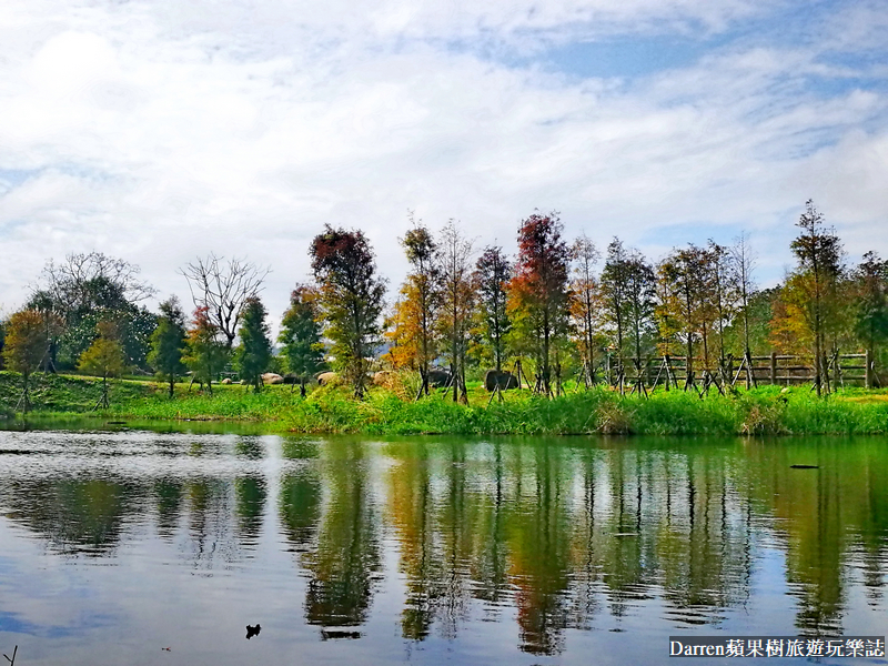 桃園大溪落羽松|月眉人工濕地落羽松/月眉人工濕地生態公園怎麼去交通