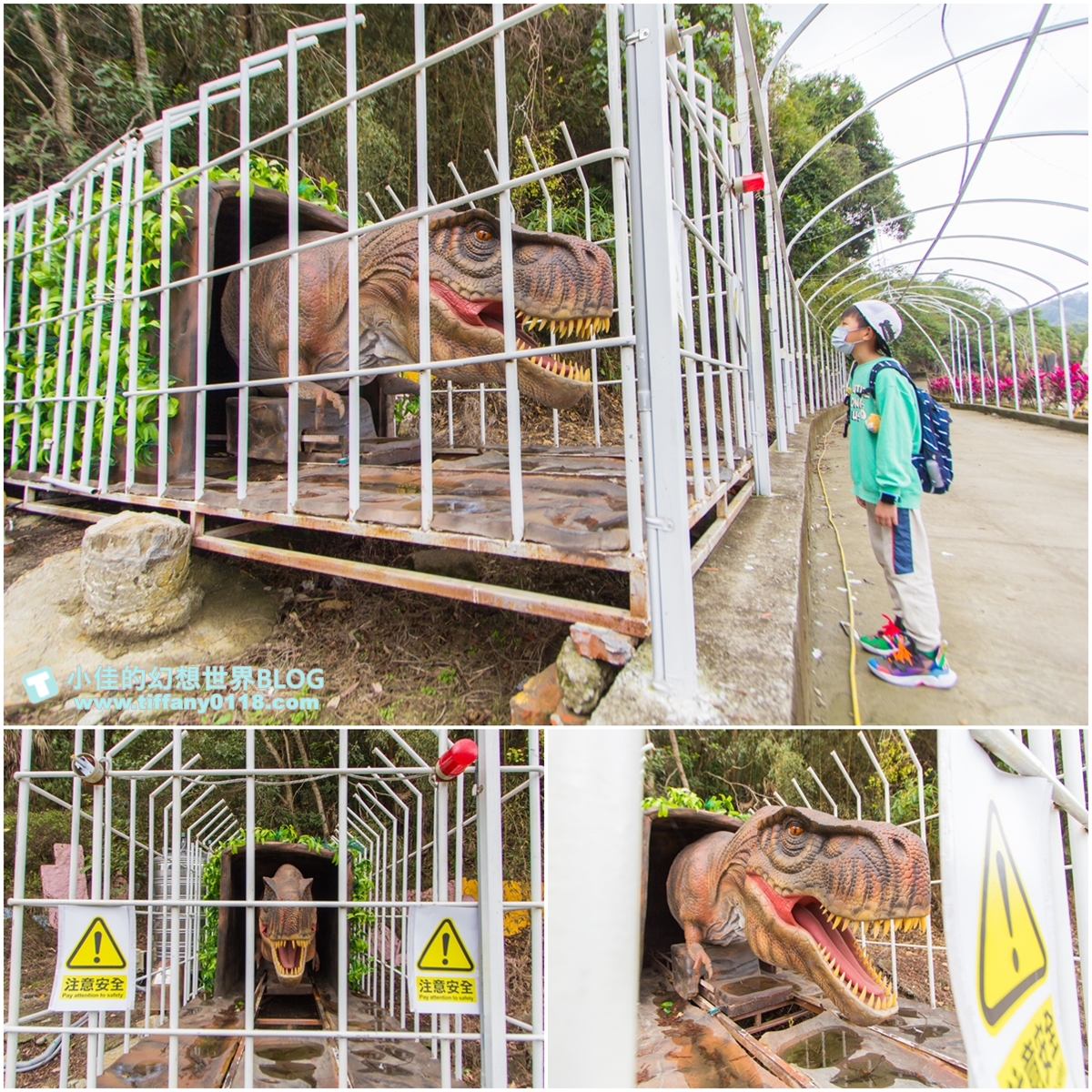 [台中景點]HiONE啵比星球/亞洲最大恐龍主題+寵物親子友善空間/豪華露營一泊三食/台中親子景點推薦