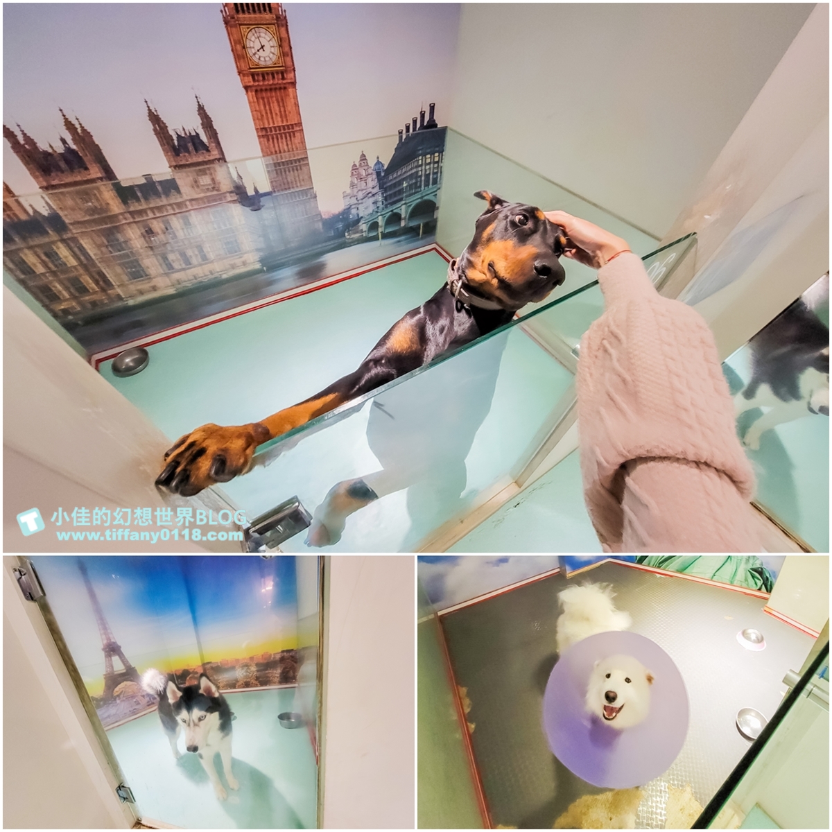 [台中景點]HiONE啵比星球/亞洲最大恐龍主題+寵物親子友善空間/豪華露營一泊三食/台中親子景點推薦